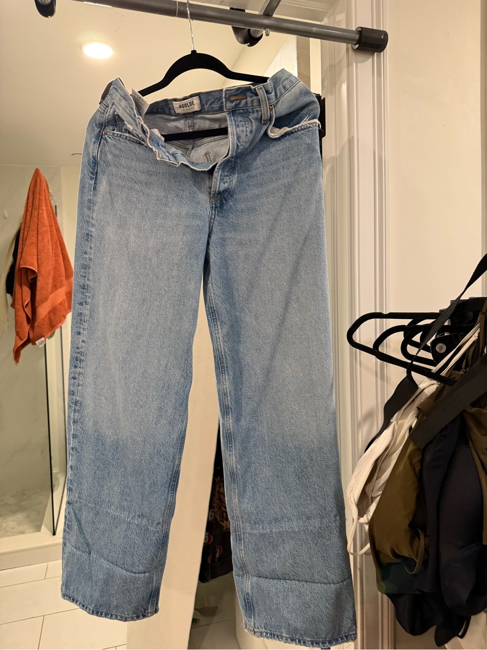 Agolde Low Rise Baggy Jeans in Libertine - Picture 2 of 10